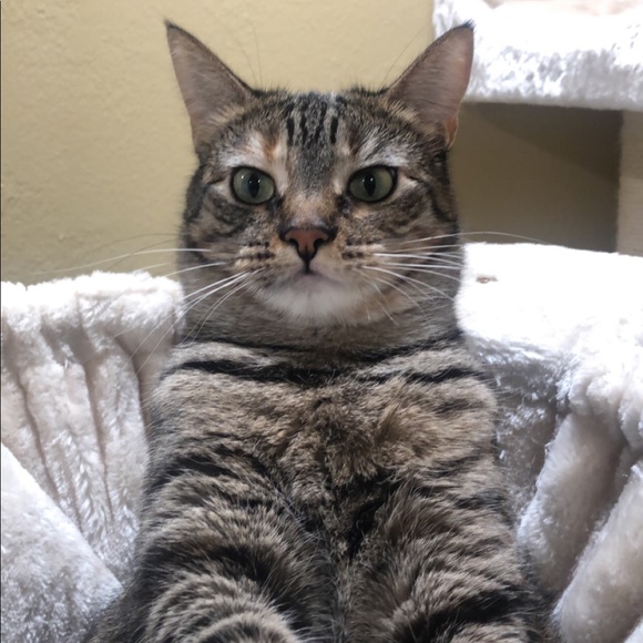 Meet your Posher, Salvador - Picture 1 of 1